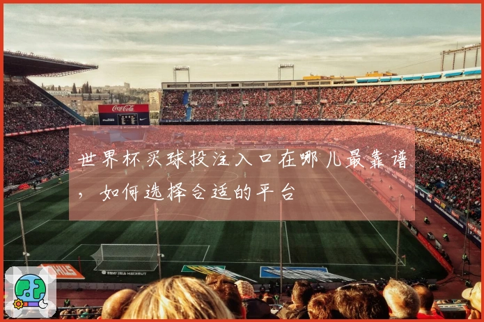 世界杯买球投注入口在哪儿最靠谱，如何选择合适的平台