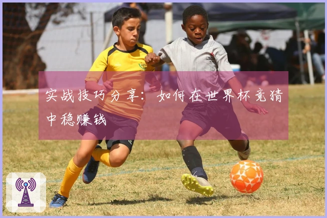 实战技巧分享：如何在世界杯竞猜中稳赚钱