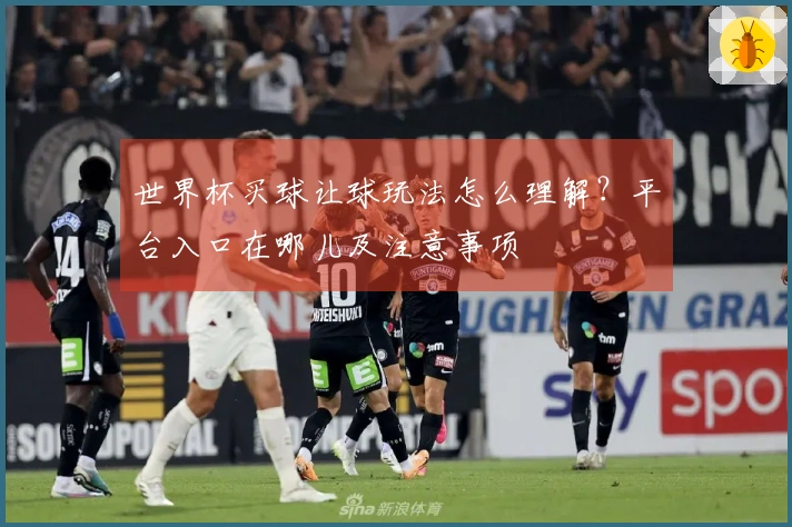 世界杯买球让球玩法怎么理解？平台入口在哪儿及注意事项