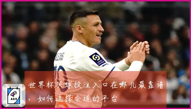 世界杯买球投注入口在哪儿最靠谱，如何选择合适的平台