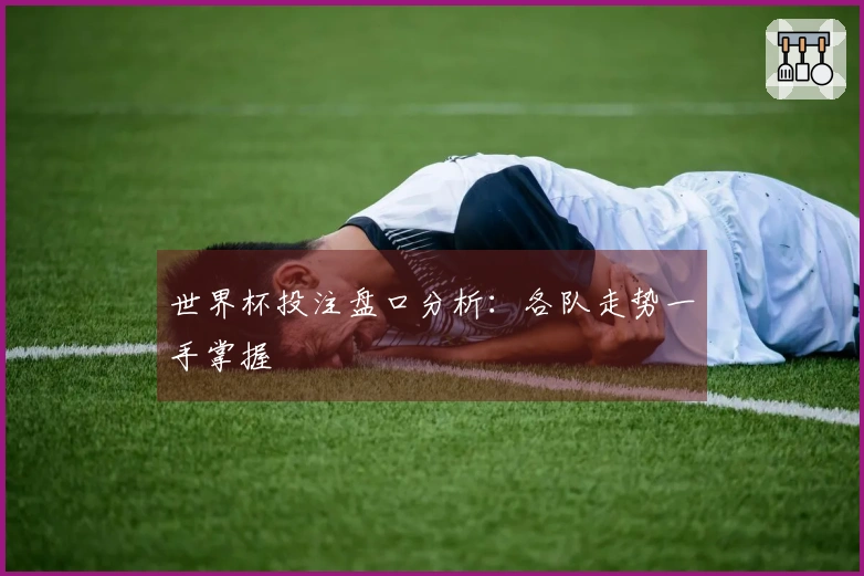 世界杯投注盘口分析:各队走势一手掌握
