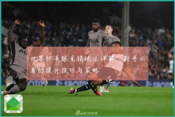 世界杯滚球竞猜玩法详解:新手必看的提升技巧与策略