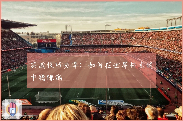 实战技巧分享：如何在世界杯竞猜中稳赚钱